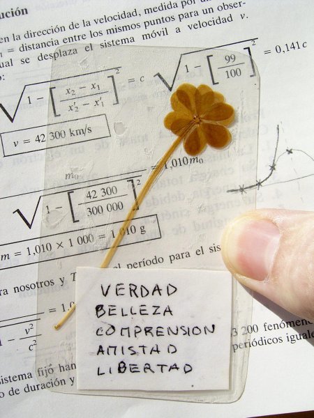 Oxalis à 6 feuilles avec une tige double, problèmes de relativité, fonction avec asymptote, cloche de Gauss et un doigt.